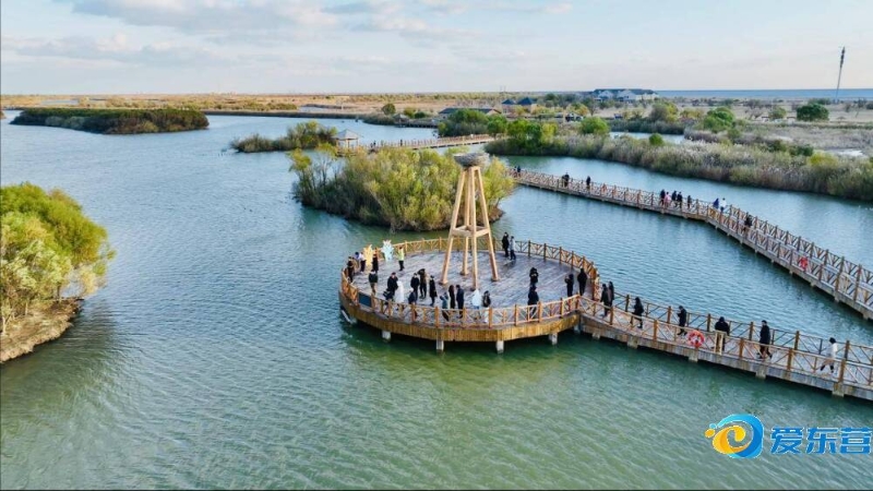 斯科特在中 斯科特在中